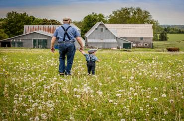 An elderly man walks toward a barn holding a young boy's hand